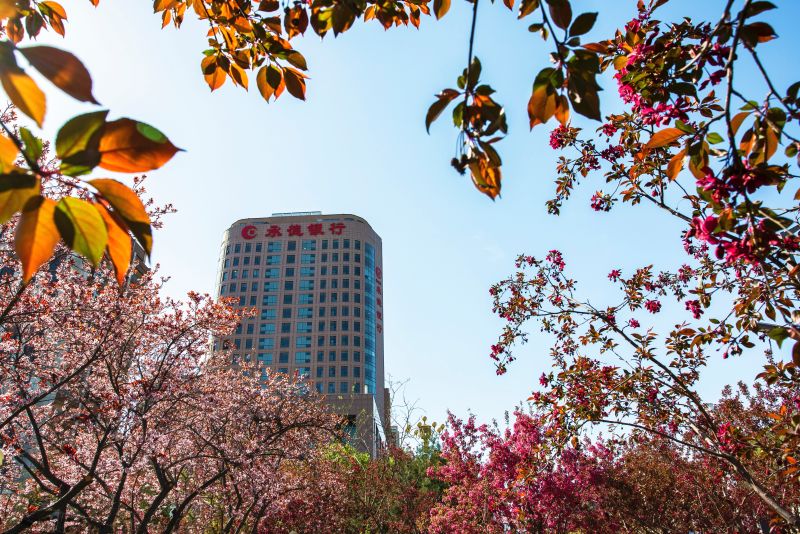 6-承德银行成立20周年——万花丛中我最美——王敬泽——18631406776