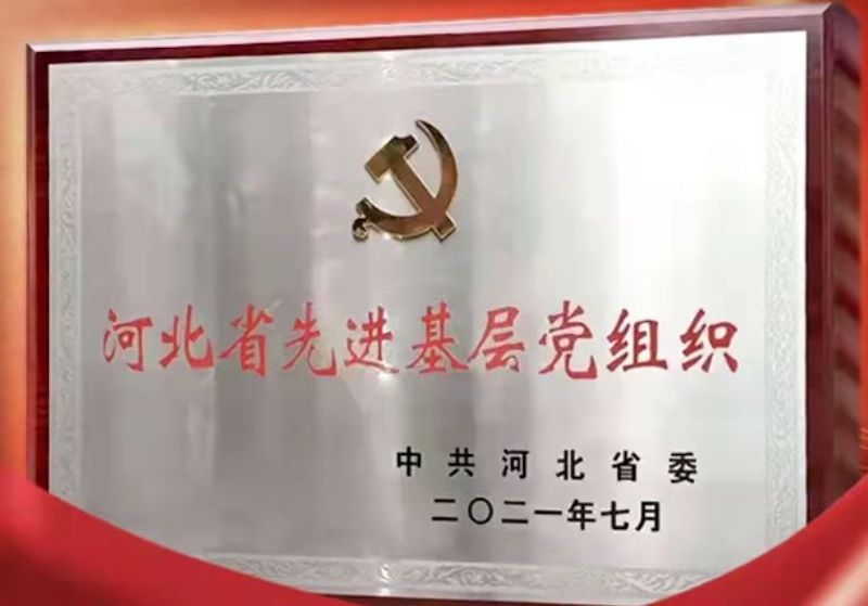 河北省先进基层党组织